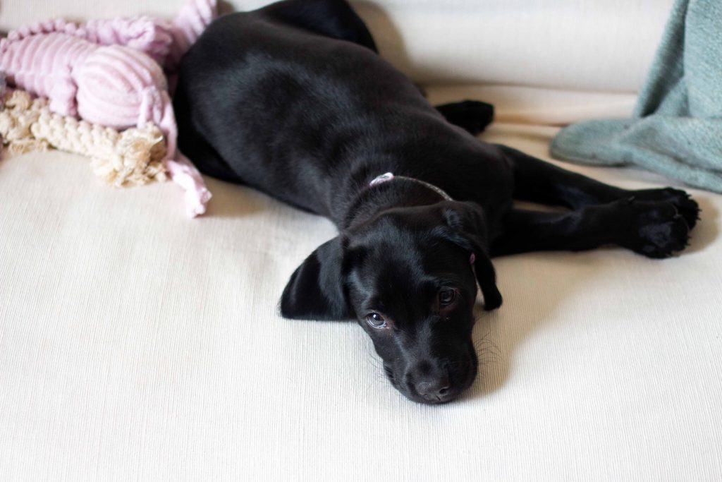 weekend freelance jobs